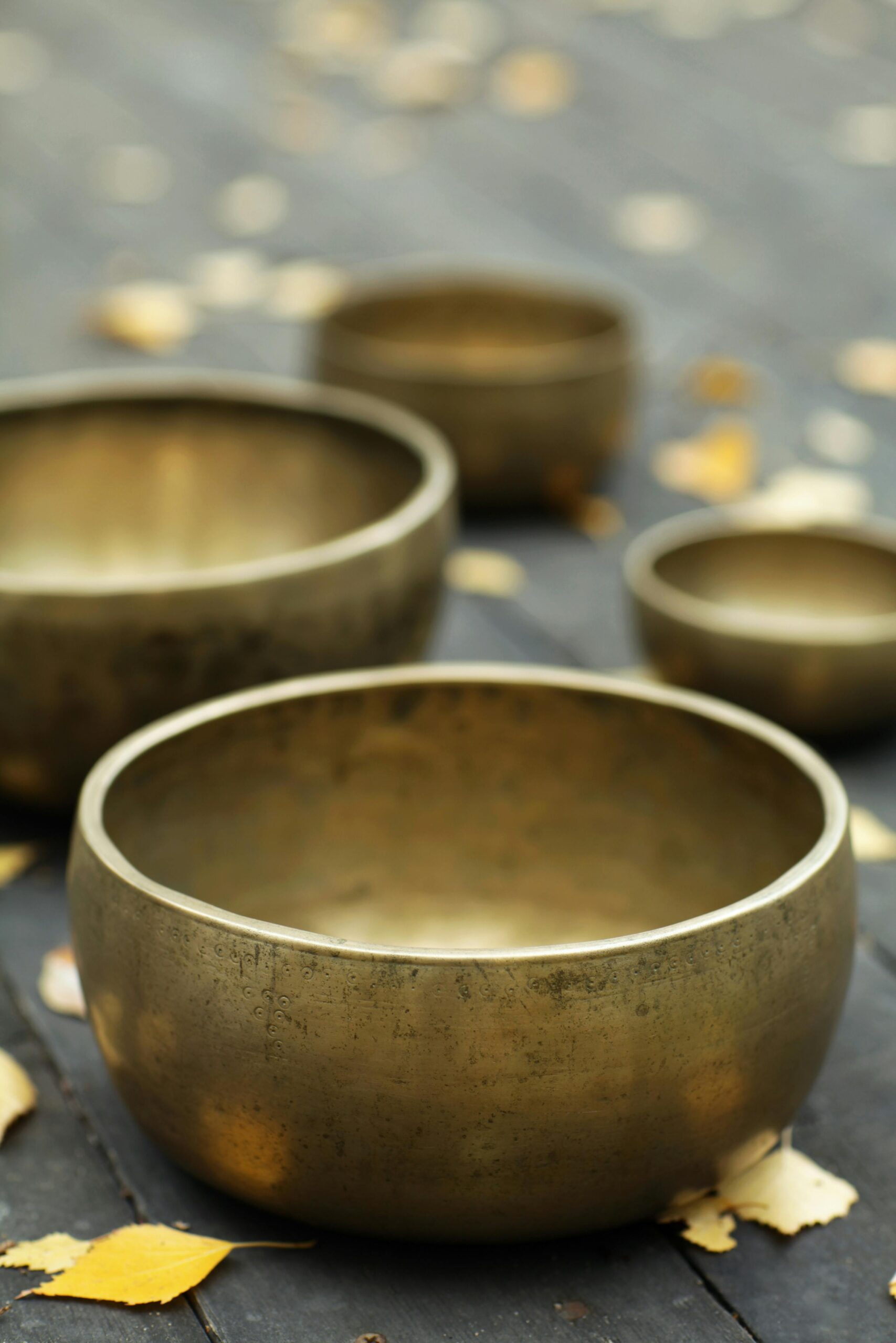 pexels magicbowls 1830208 3543914